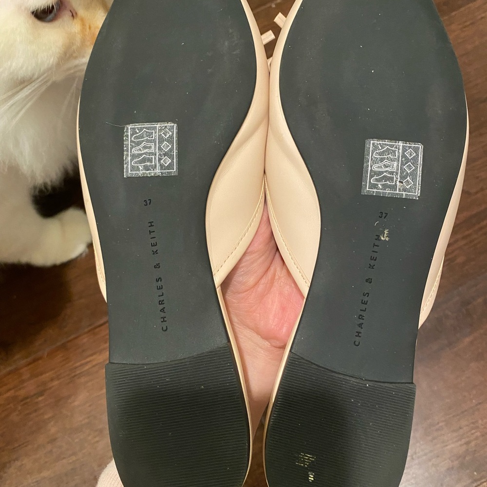 Charles&Keith light pink mule slippers